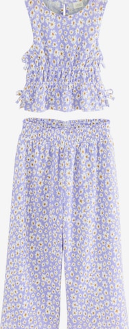 purpurinė Next Rinkinys: priekis