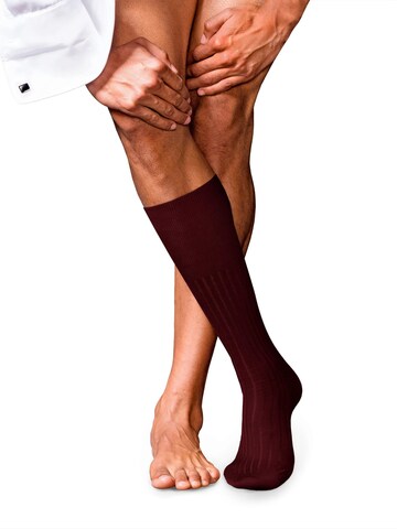 FALKE Kniestrümpfe 'No. 13 Finest Piuma Cotton'‌‌‌‌‌‌‌‌‌ in Rot: Vorderseite