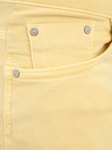 LTB Regular Jeans 'Judie' in Yellow