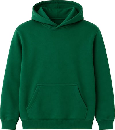 LOUIS LECLER Sweatshirt 'Hiro' in S in grün, Produktansicht