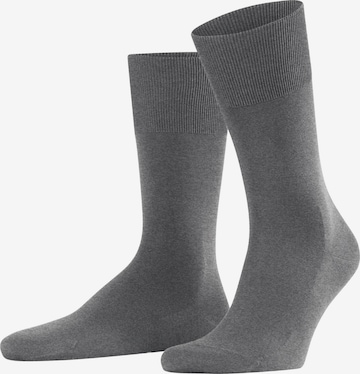 FALKE Socken 'ClimaWool' in Grau: Vorderseite