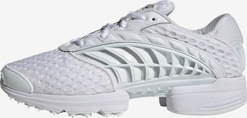 Baskets basses ADIDAS ORIGINALS en blanc : devant