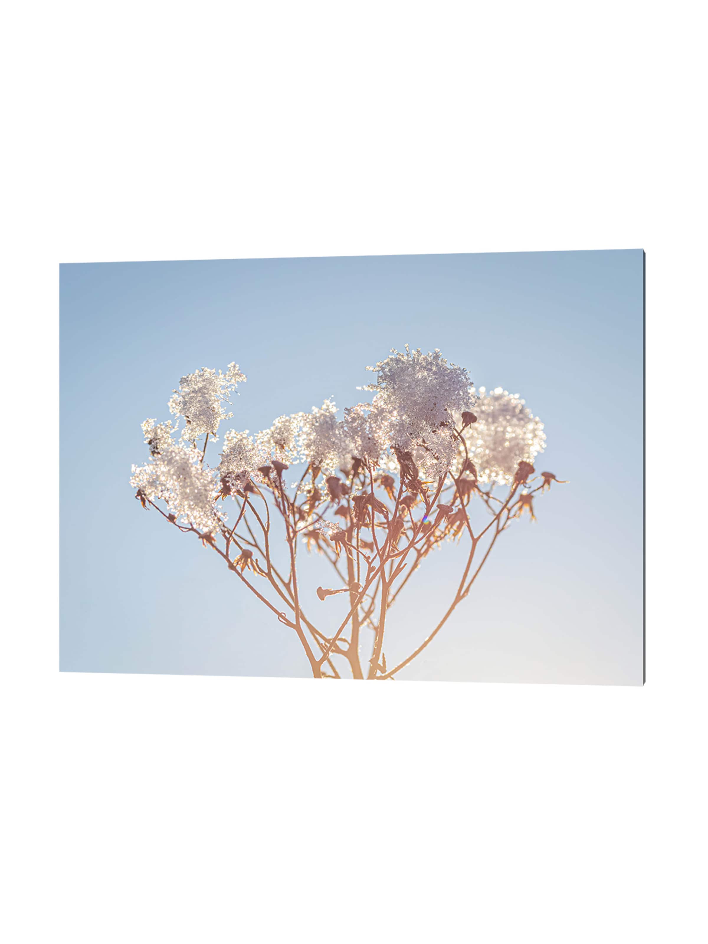 Liv Corday Image 'Flowers and Snow' in Grey: front