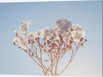 Liv Corday Image 'Flowers and Snow' in Grey: front