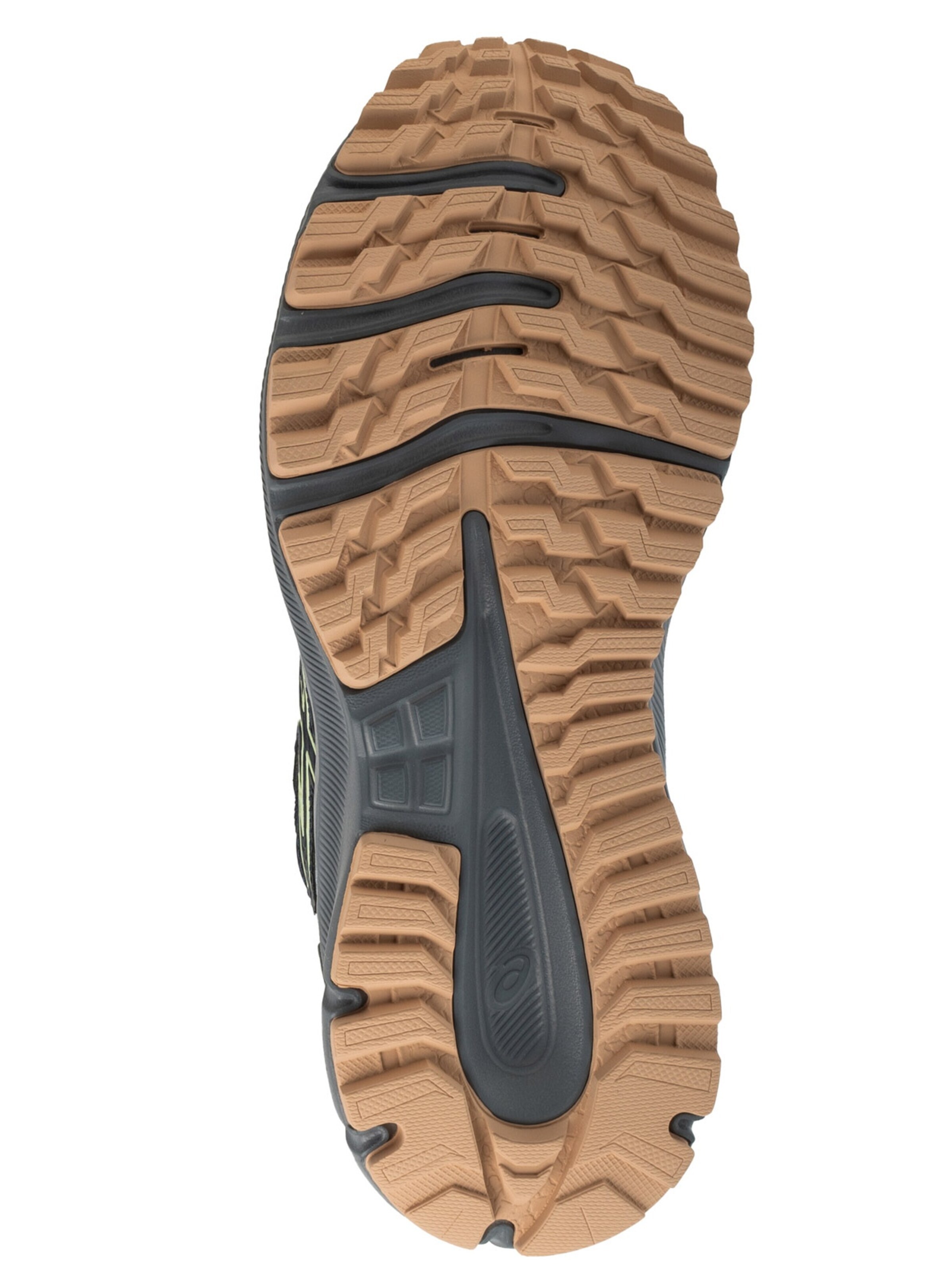 ASICS Laufschuh 'ASICS Trail Scout 3'‌‌‌‌‌‌‌ in Blau