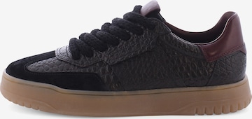 Baskets basses ' GAZ ' Kennel & Schmenger en noir : devant