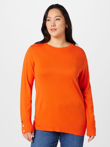 Pull-over Dorothy Perkins Curve en orange : devant