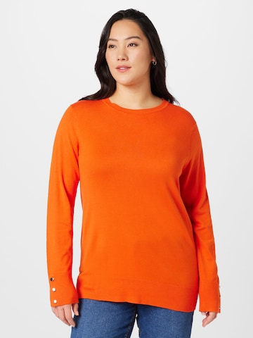 Dorothy Perkins Curve Sweater in Orange: front