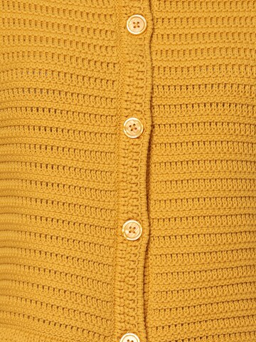 Franco Callegari Knit Cardigan in Yellow