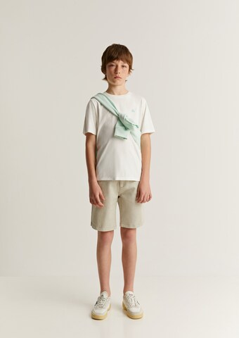 Regular Pantalon Scalpers en beige : devant