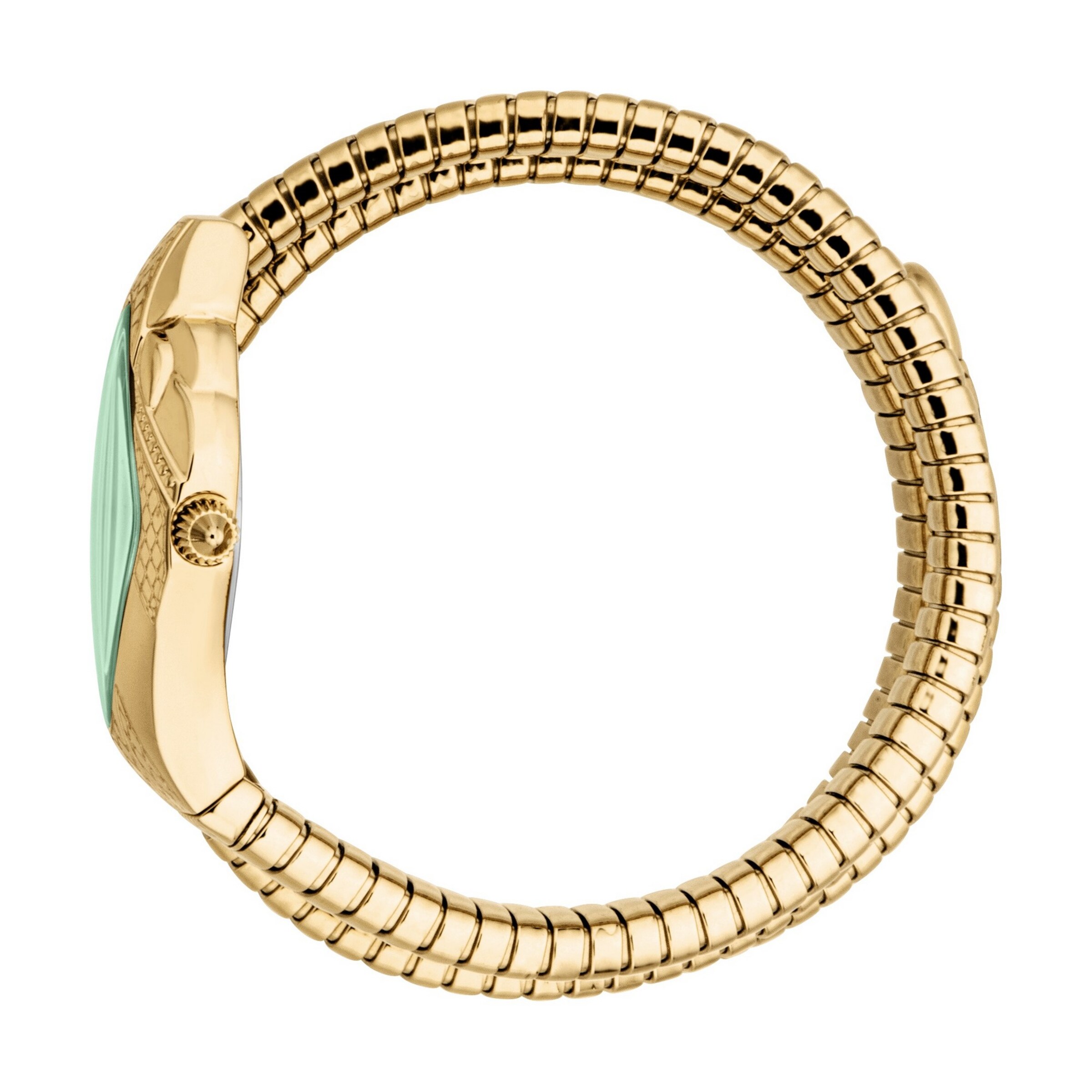 Just Cavalli Time Analog Watch in Gold