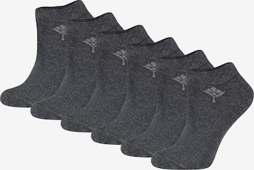 Chaussettes JOOP! en gris : devant