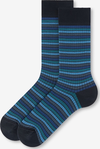 CALZEDONIA Socks in Blue: front