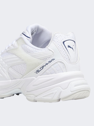 PUMA Sneakers ' Velophasis' in White