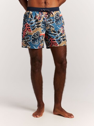 PROTEST Board Shorts 'PRTRayger' in Brown