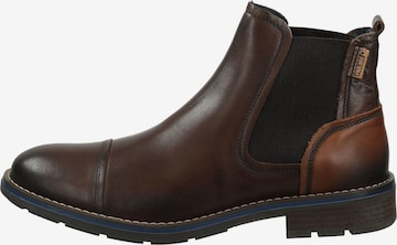 PIKOLINOS Chelsea boots in Bruin