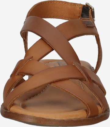 PIKOLINOS Strap Sandals in Brown