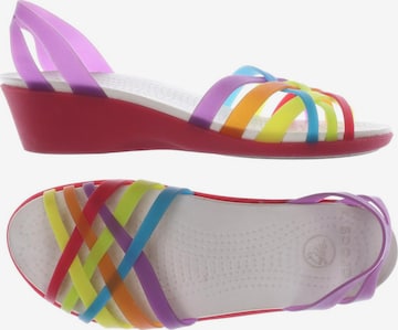 Crocs Sandals & High-Heeled Sandals in 36,5 in Mixed colors: front