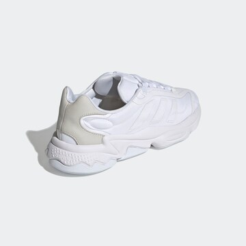 ADIDAS ORIGINALS - Zapatillas deportivas bajas en blanco