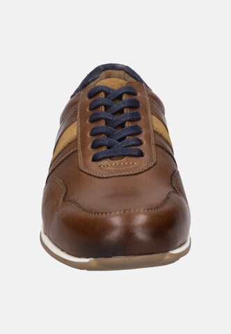 JOSEF SEIBEL Schnürschuh 'Colby 02' in Braun
