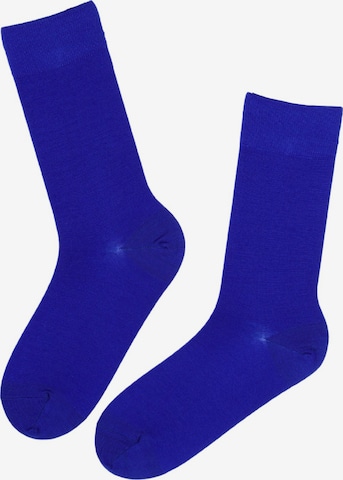 Chaussettes ''HANS blue warm merino wool socks for men'' Sokisahtel en bleu : devant