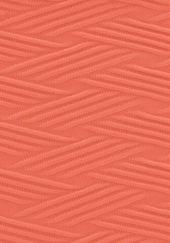 SUNSEEKER Bikini bottom in Orange