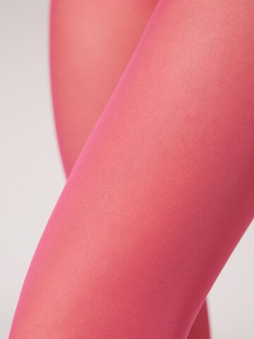 CALZEDONIA Tights in Red