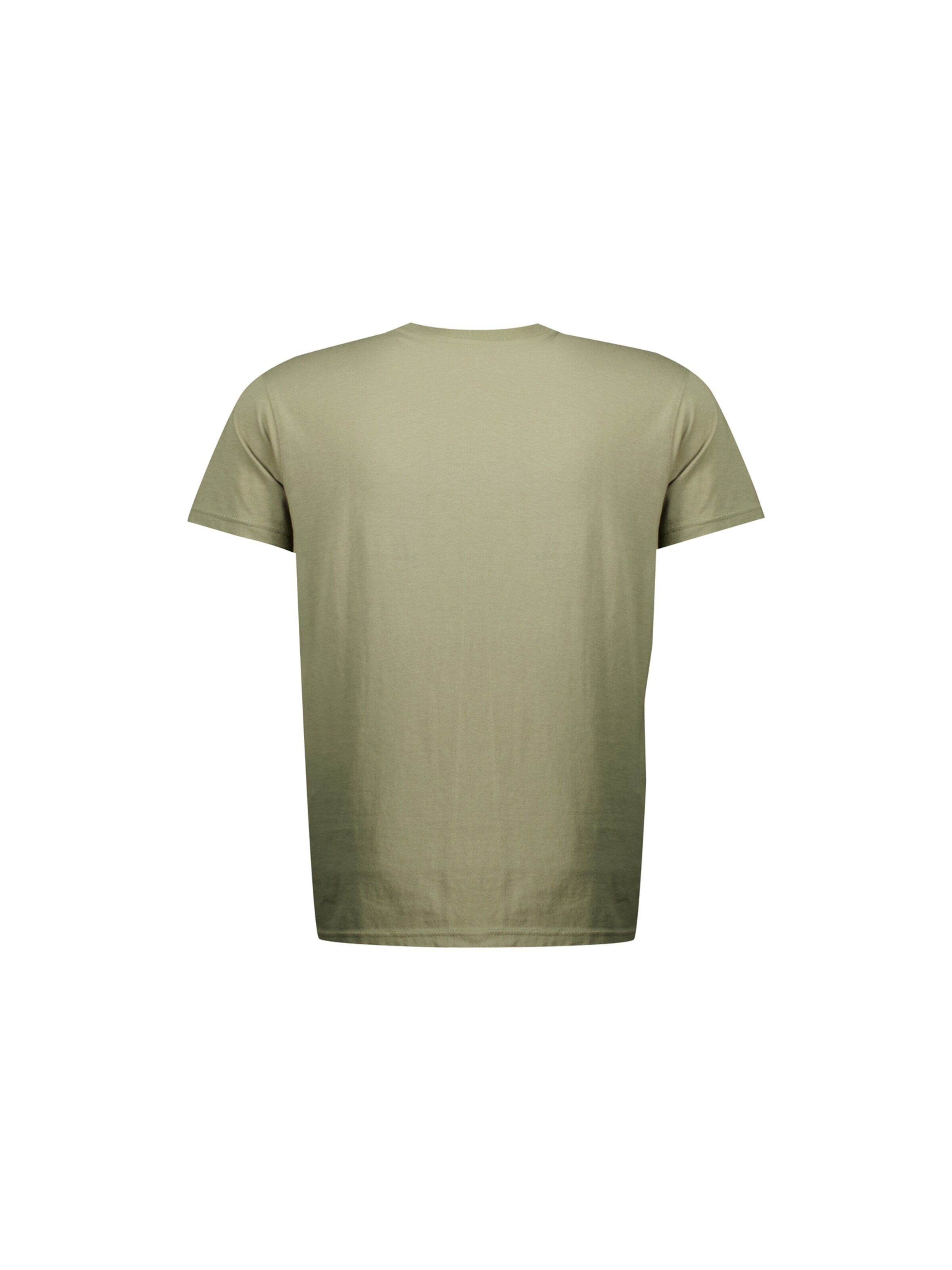 Deeluxe Shirt in Groen