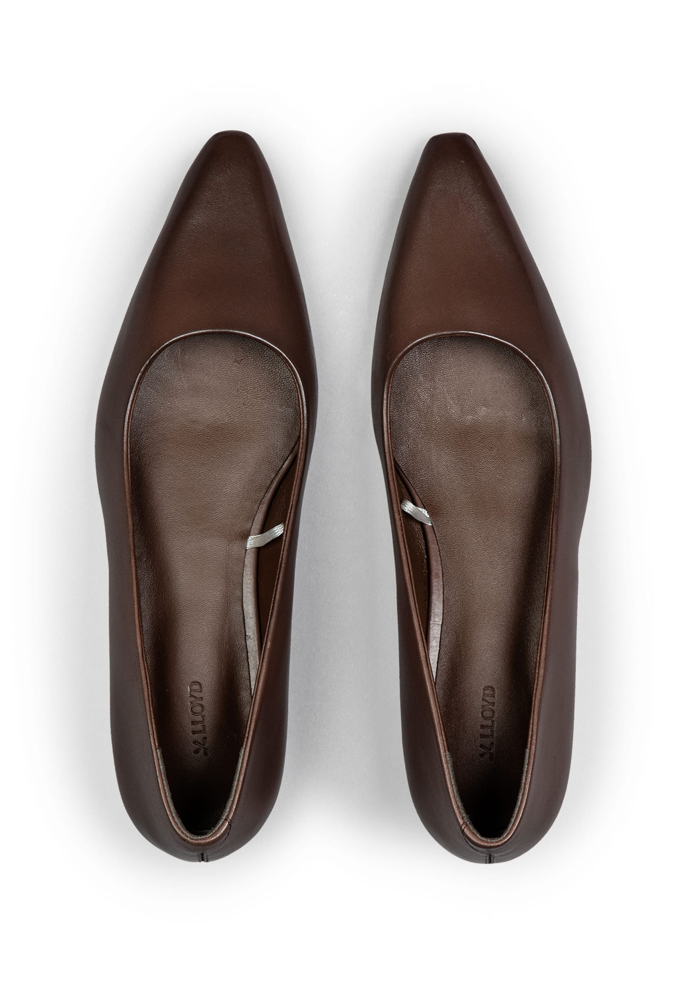 LLOYD Pumps 'IVY' in Bruin