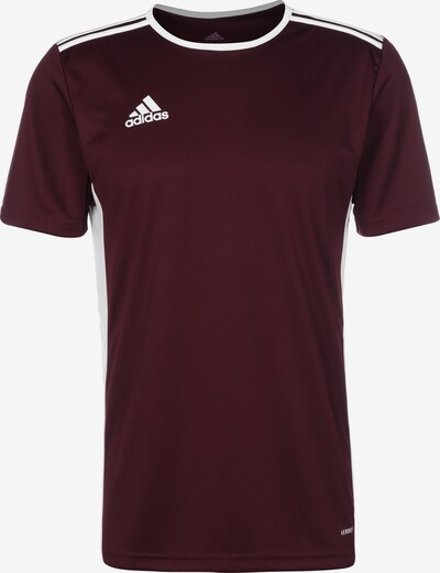 ADIDAS PERFORMANCE Maillot 'Entrada 18' en lie de vin / blanc, Vue avec produit