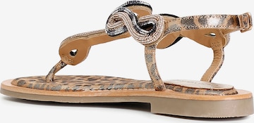 CAFè NOIR Sandalen met riem in Brons: voorkant