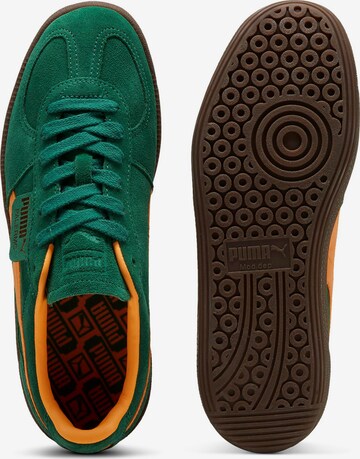 PUMA Platform trainers 'Palermo' in Green