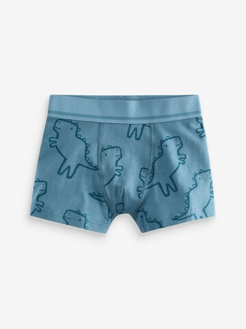 Next Underpants in Blue