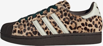 ADIDAS ORIGINALSNiske tenisice 'Superstar II' - smeđa boja: prednji dio