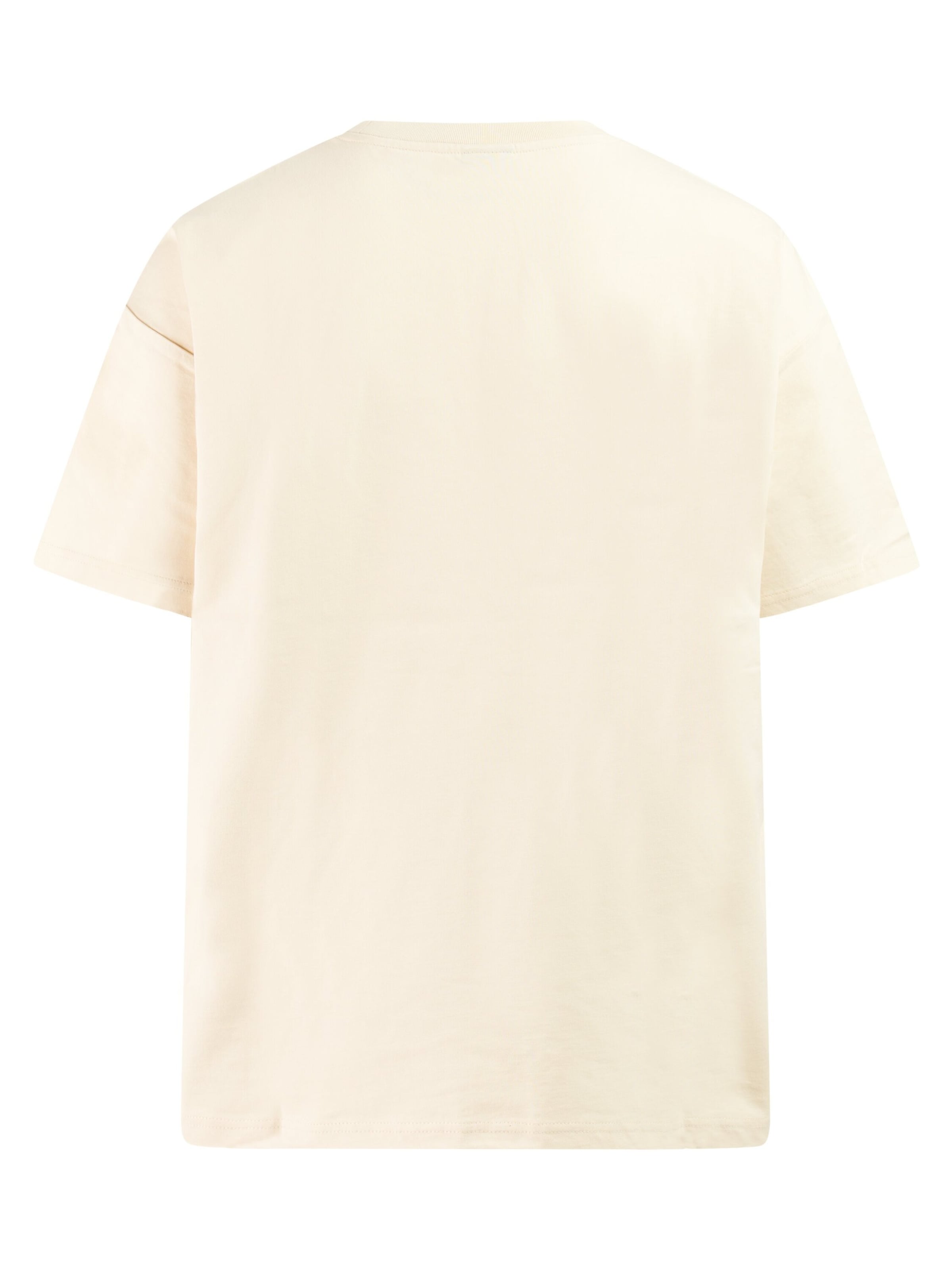 PROTEST Shirt 'PRTMatteos' in White