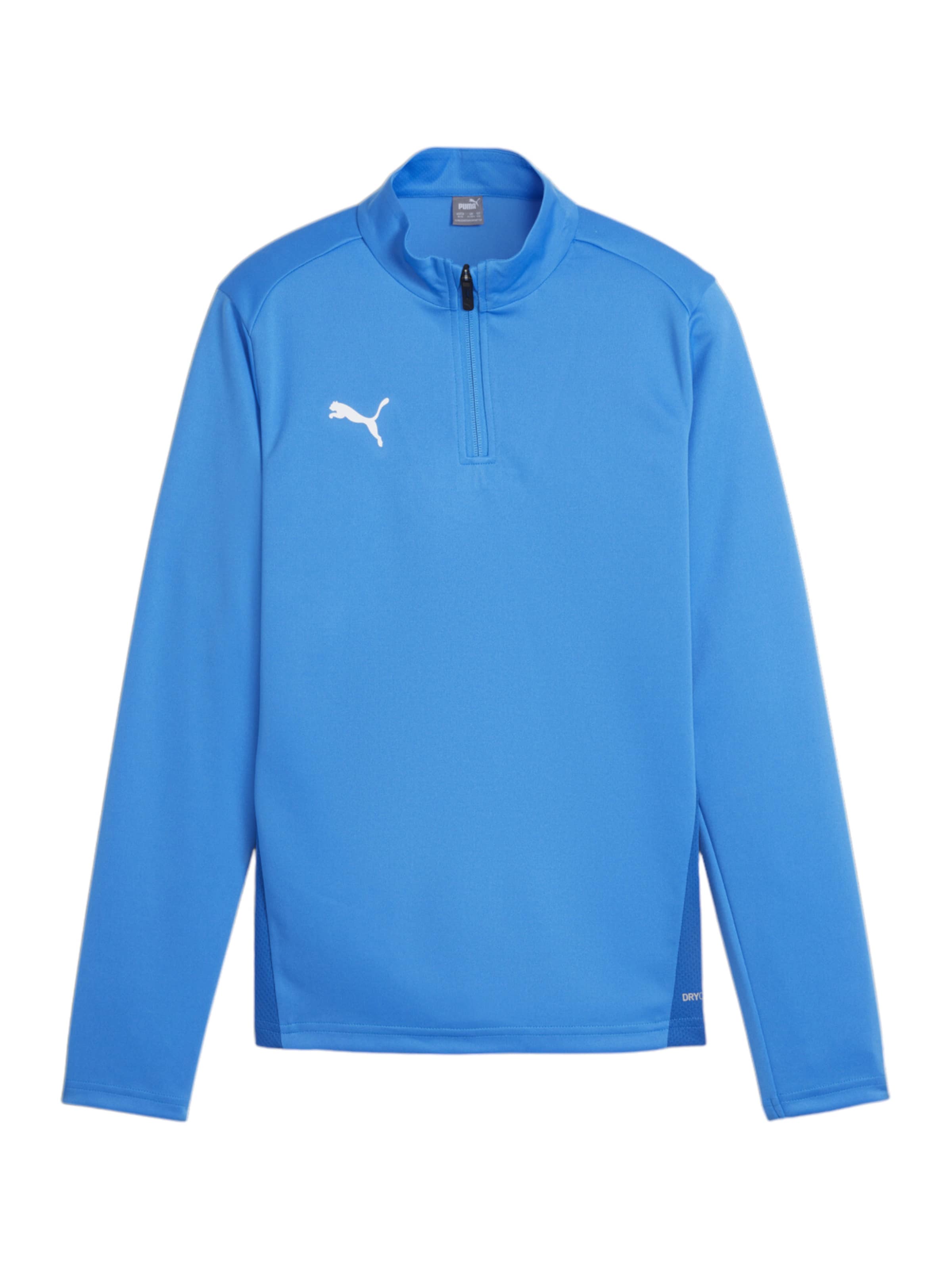 PUMA Funktionsshirt 'Team Goal' in Blau: Vorderseite