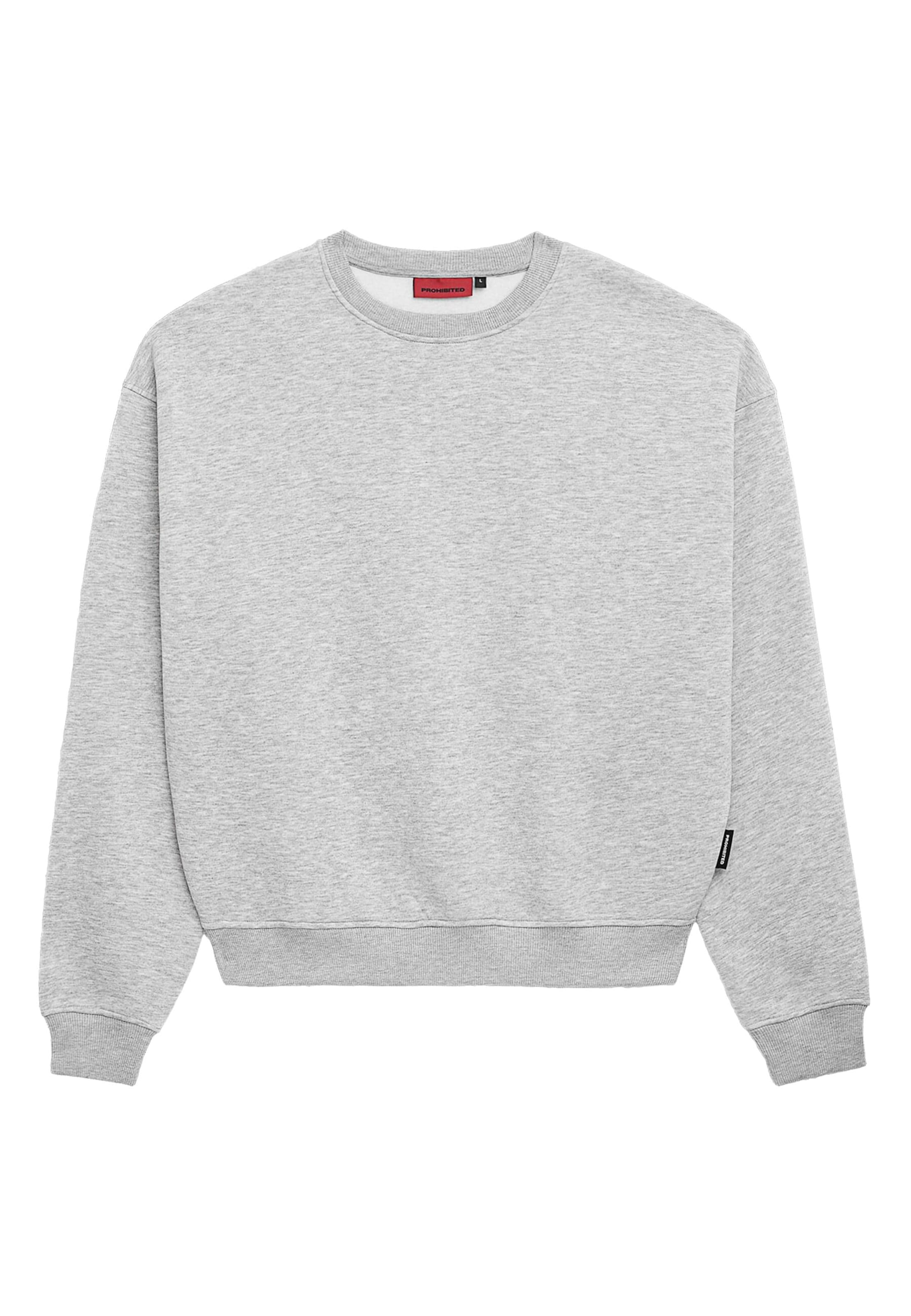 Prohibited Sweatshirt i grå: framsida