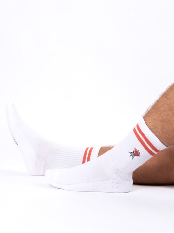 Occulto Athletic Socks 'Rio' in White