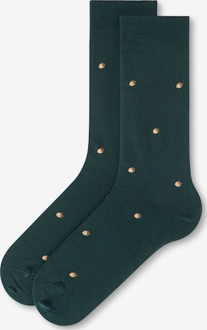 CALZEDONIA Socks in Green: front
