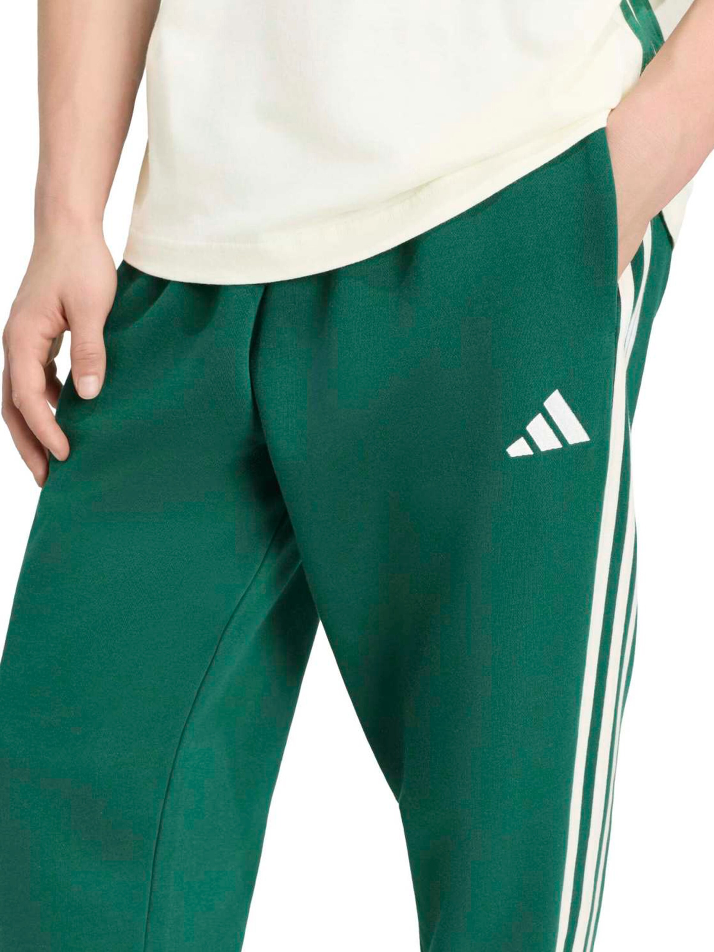 ADIDAS SPORTSWEAR Tapered Sportbroek in Groen