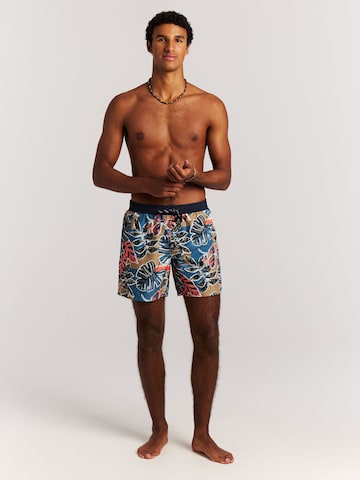 PROTEST Board Shorts 'PRTRayger' in Brown: front