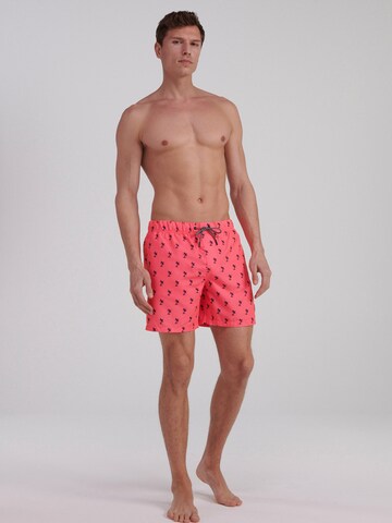 Shiwi Board Shorts in Red