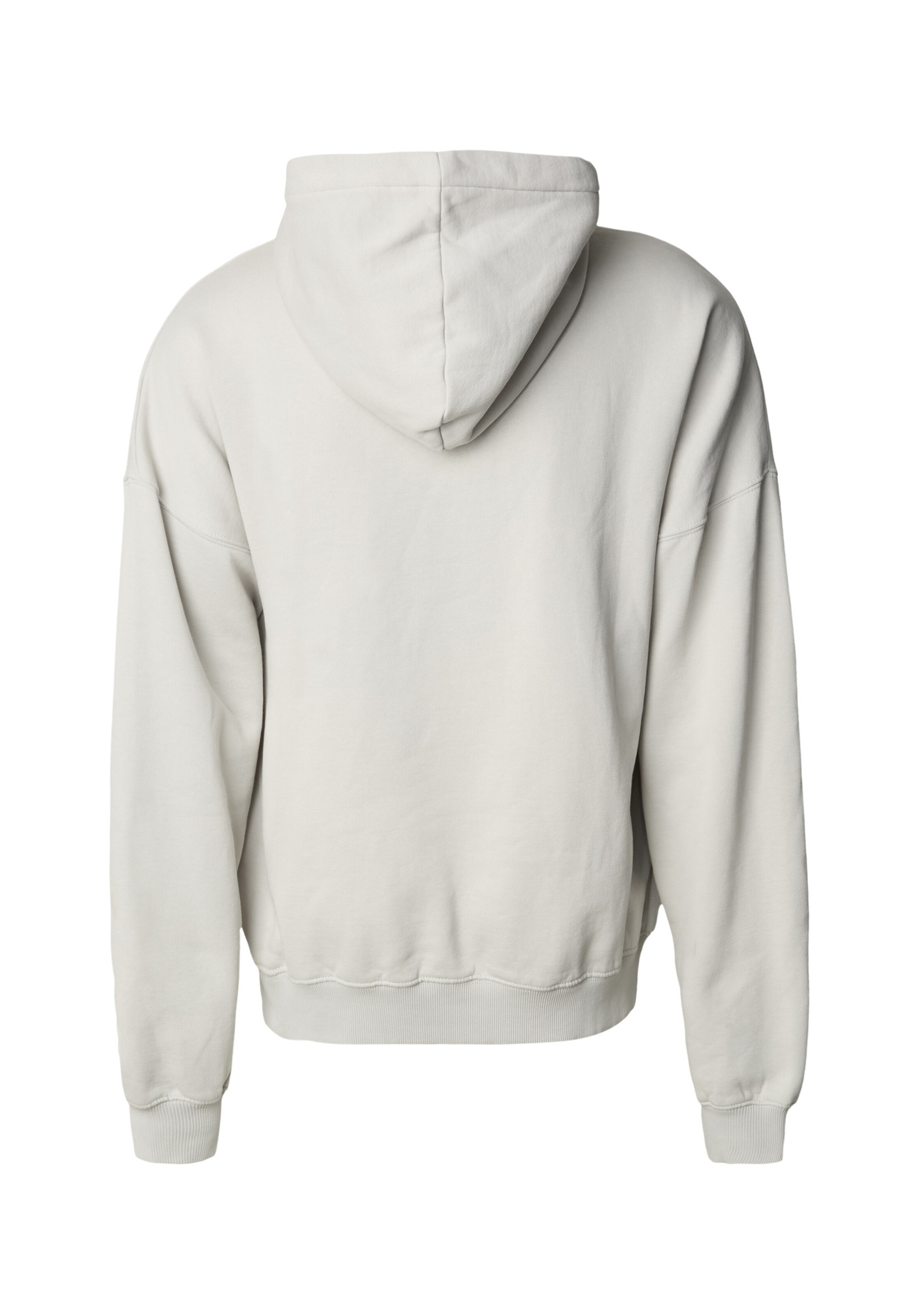Pegador Sweatshirt in Grau