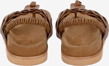 Crickit T-Bar Sandals in Brown