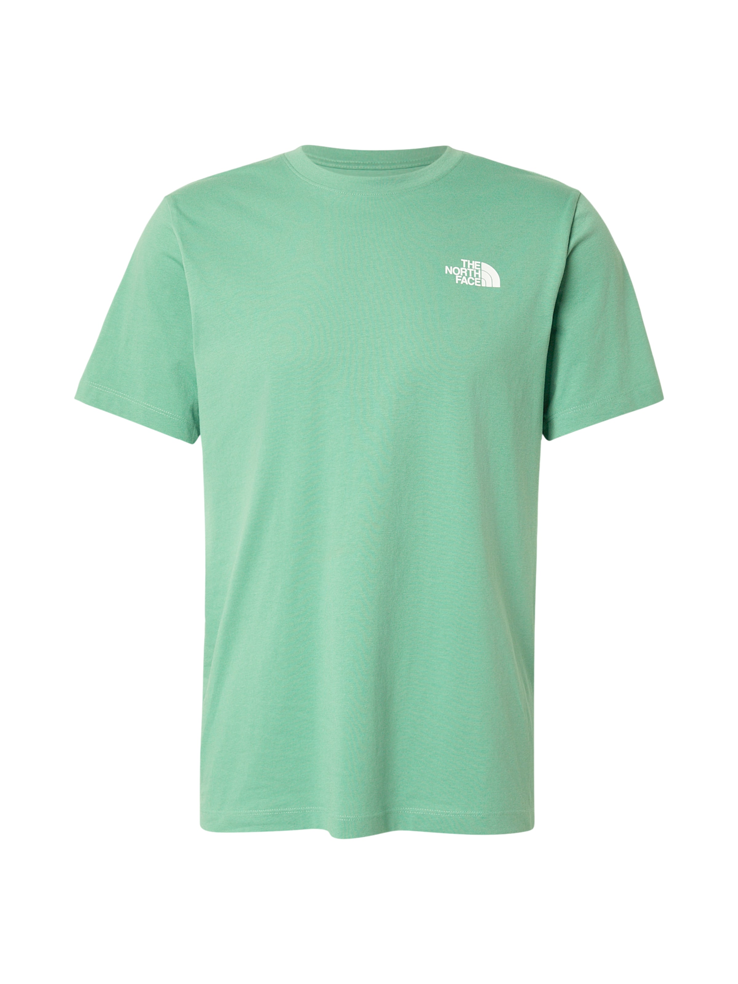 THE NORTH FACE Тениска 'EVOLUTION BOX NSE' в зелено: отпред