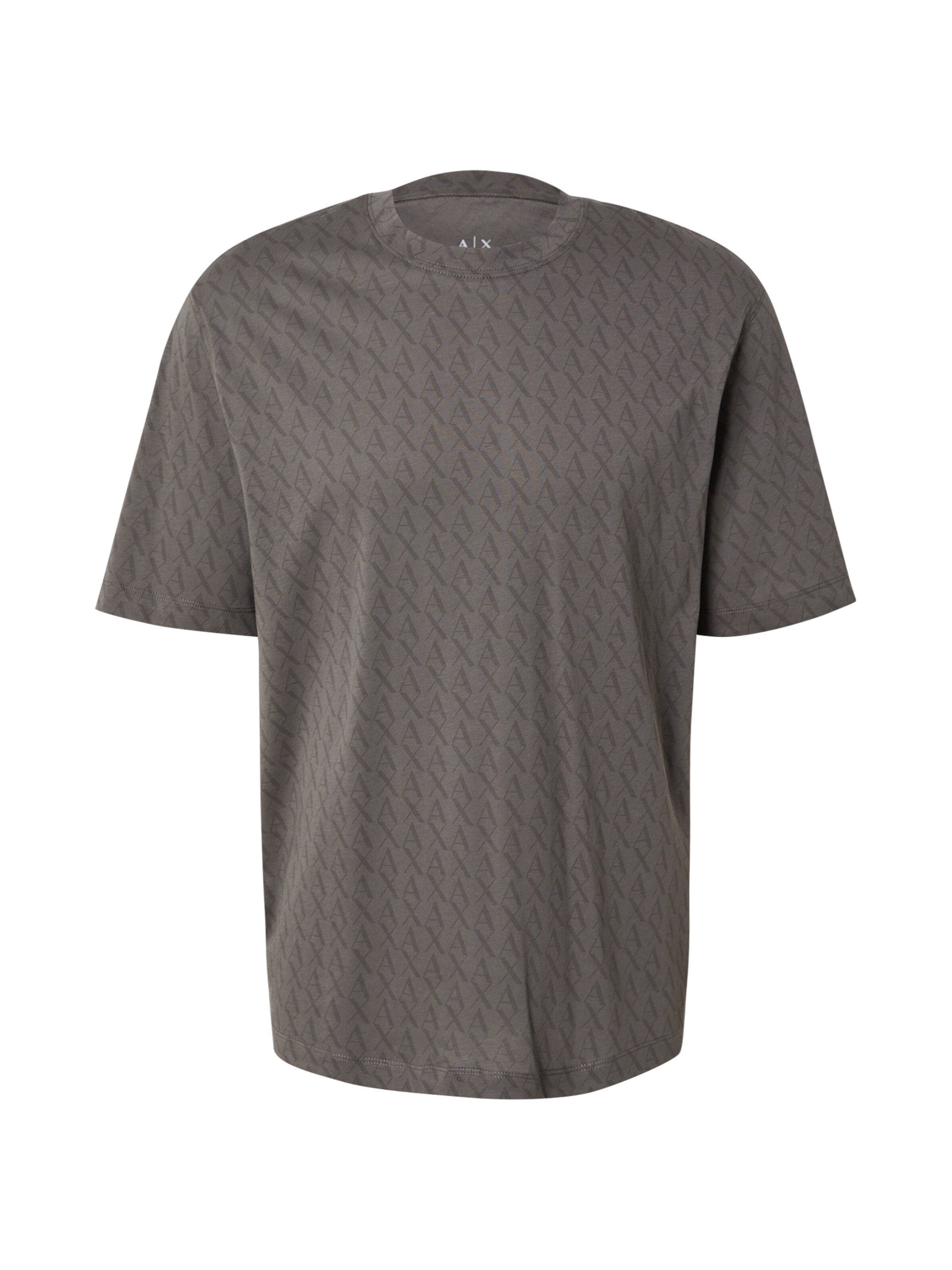 ARMANI EXCHANGE Shirt in Grey: front