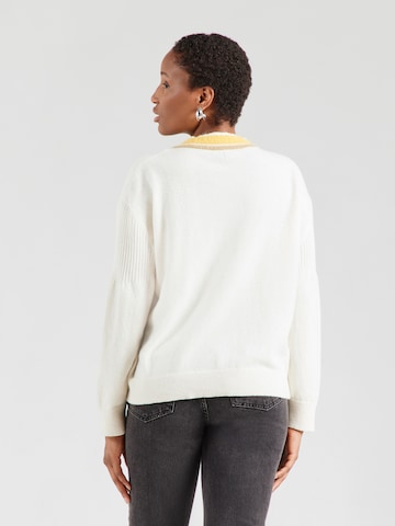 NAPAPIJRI Sweater 'D-MALEZ' in Beige