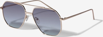 Ochelari de soare 'ANA' de la Pilgrim pe gri: față