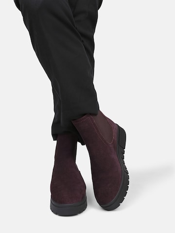 Crickit Chelsea boots ' SISSY ' in Brown: front