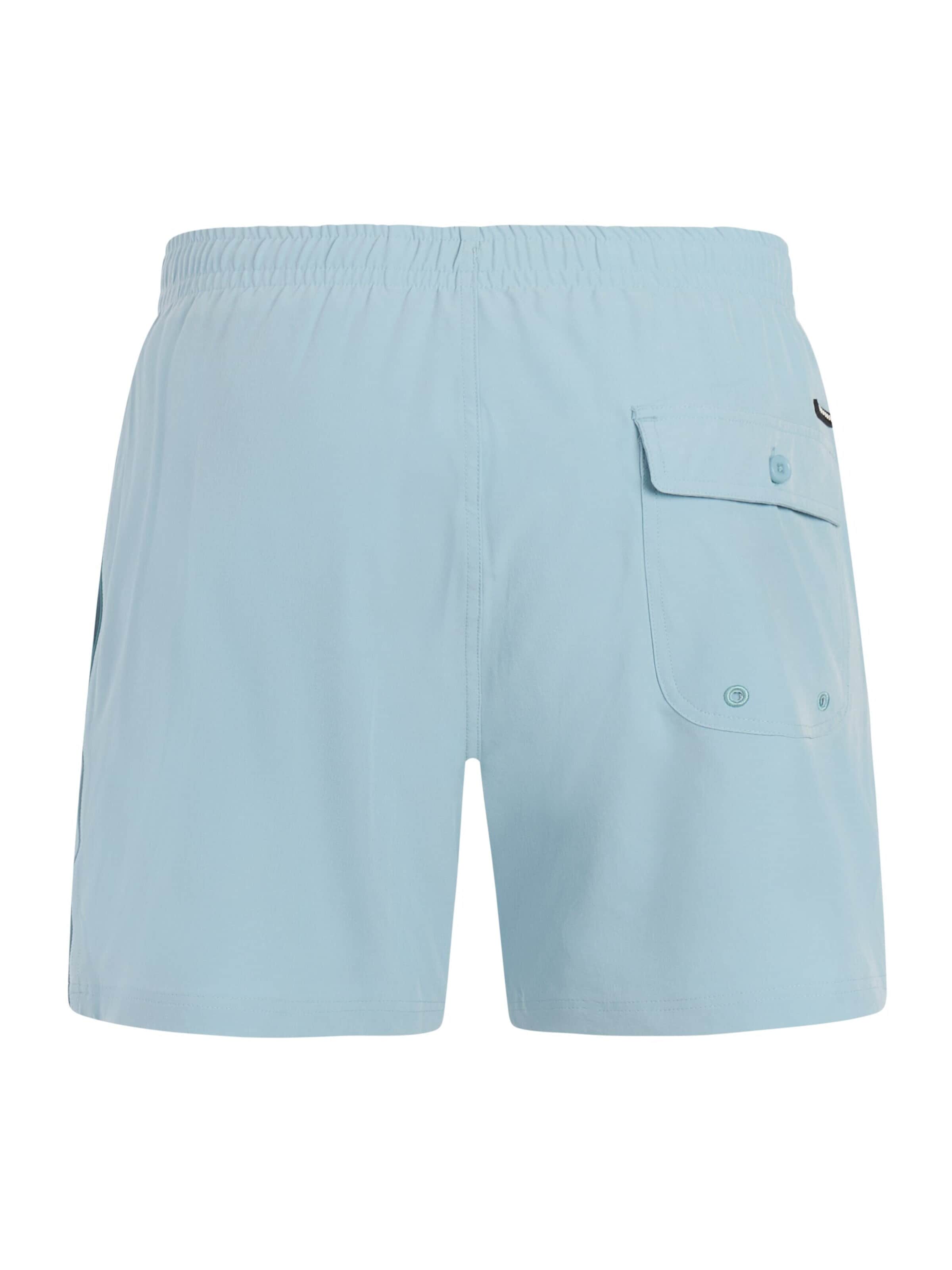 PROTEST Board Shorts 'PRTJayden' in Blue